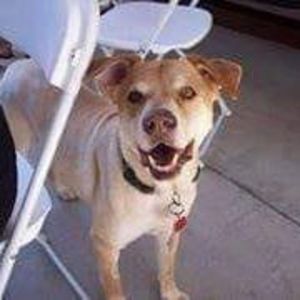 Meet your Posher, Wesley